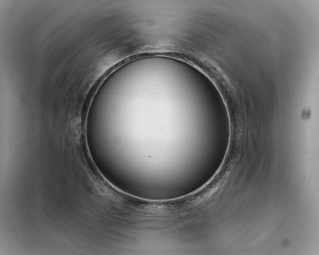 X0000098141457200804171535