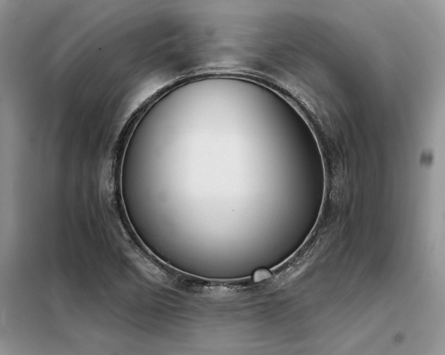 X0000098141458200804171535
