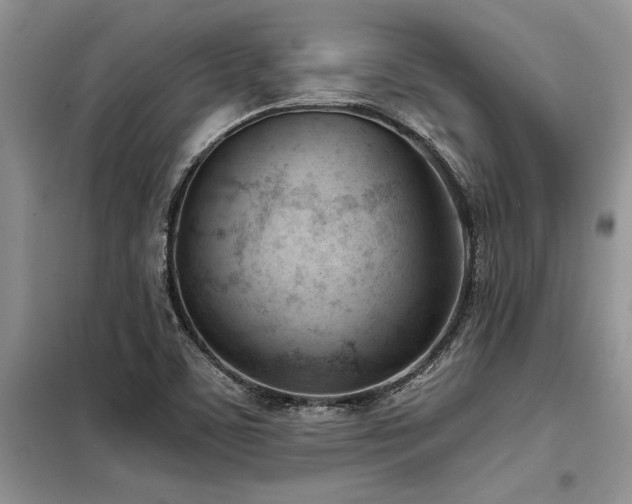 X0000098141459200804171535