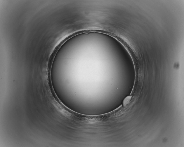 X0000098141460200804171535