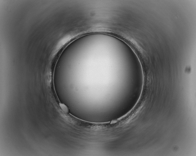 X0000098141461200804171535