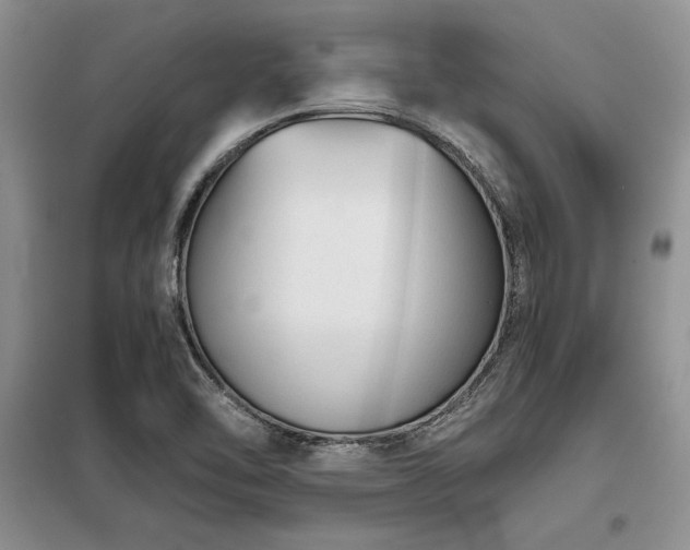 X0000098141462200804171535