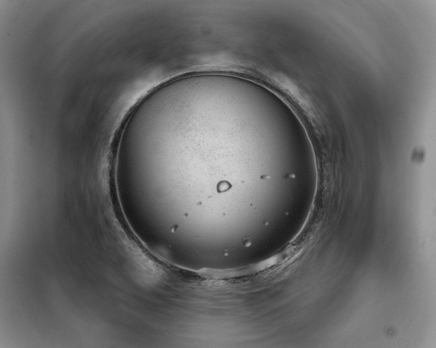 X0000098141463200804171535