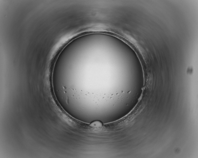 X0000098141464200804171535
