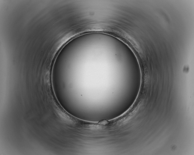 X0000098141465200804171535