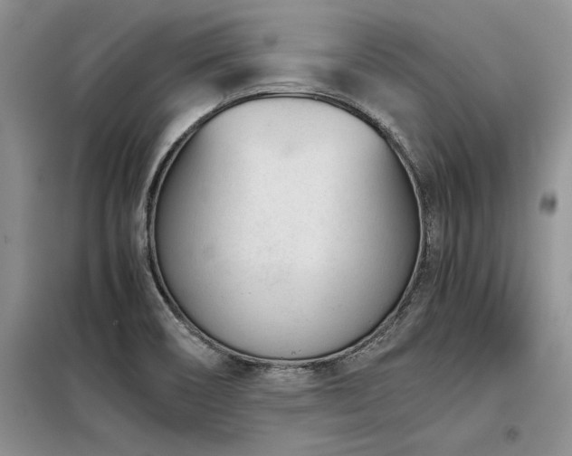 X0000098141466200804171535