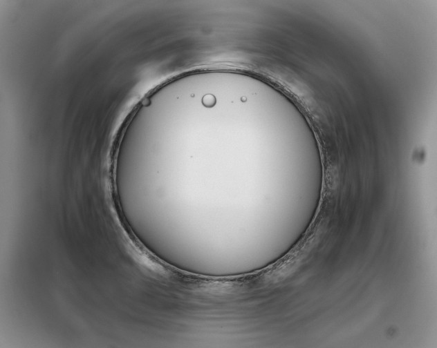 X0000098141470200804171535