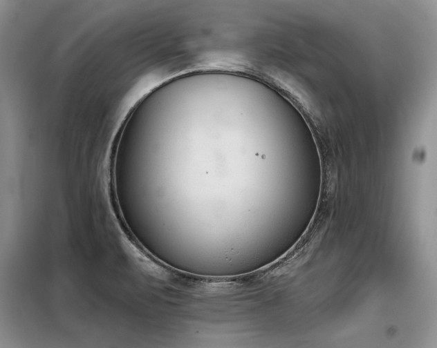 X0000098141471200804171535