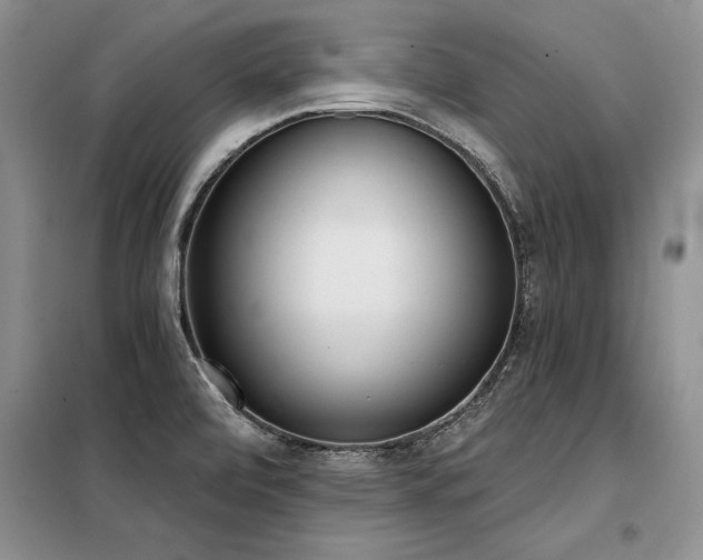 X0000098141472200804171535