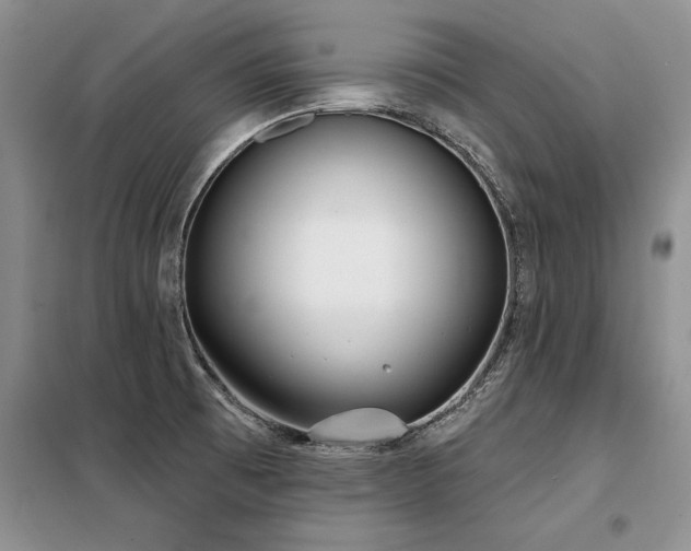 X0000098141473200804171535