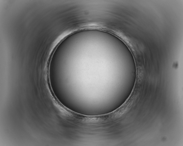 X0000098141474200804171535