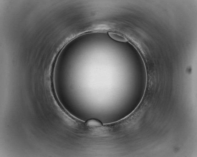 X0000098141475200804171535