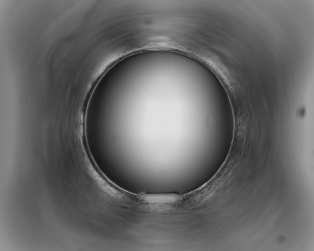 X0000098141476200804171535