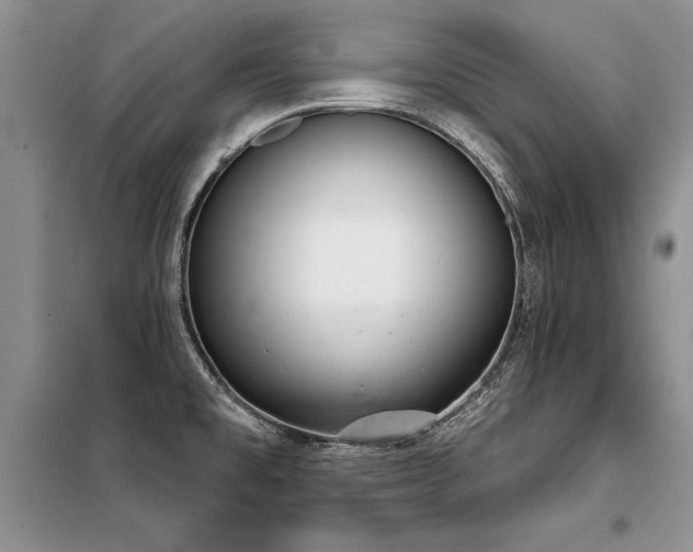X0000098141477200804171535