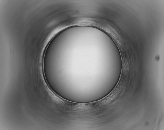 X0000098141478200804171534