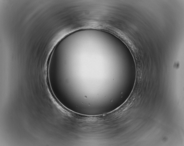 X0000098141479200804171534