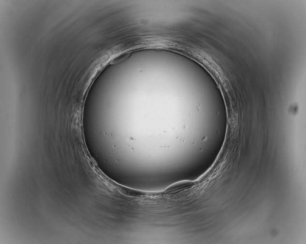 X0000098141481200804171534