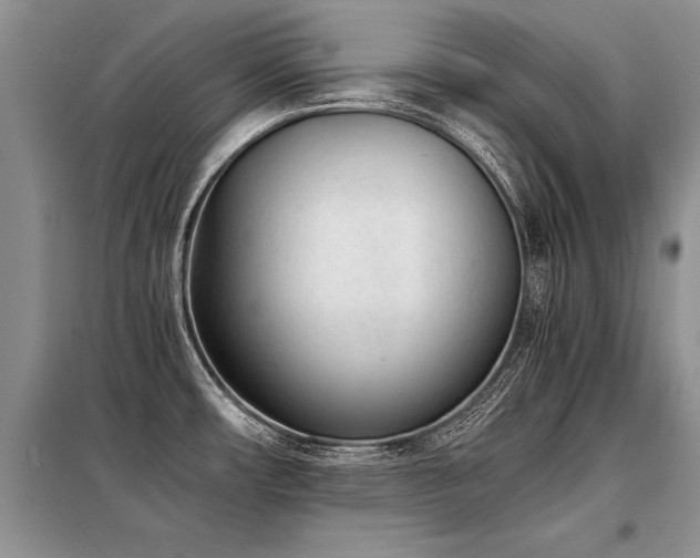 X0000098141482200804171534