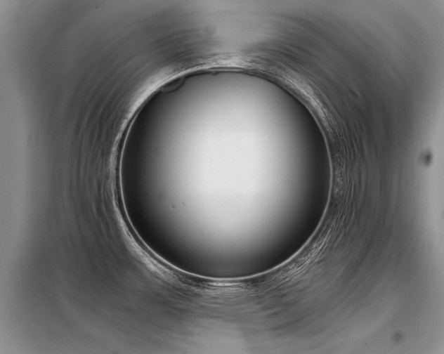 X0000098141483200804171534