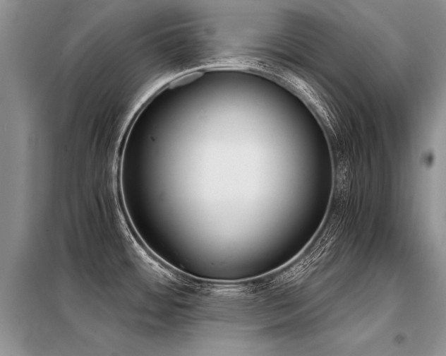X0000098141484200804171534