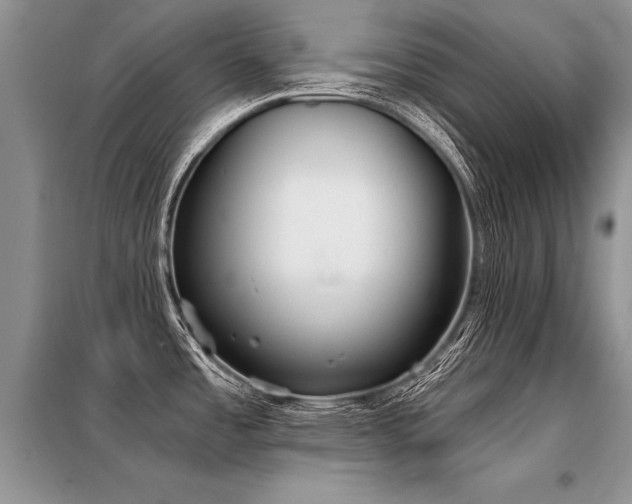 X0000098141485200804171534
