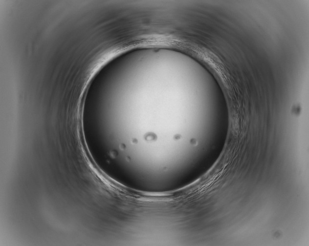 X0000098141487200804171534
