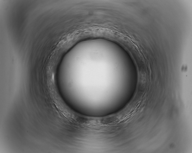 X0000098141489200804171533
