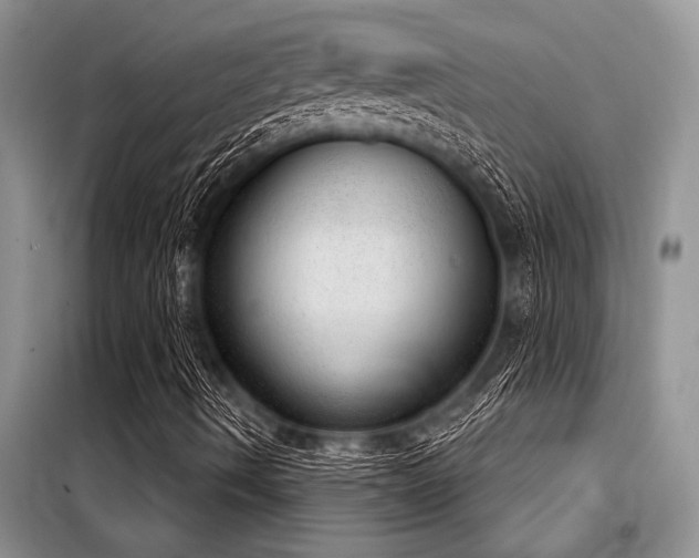 X0000098141490200804171533
