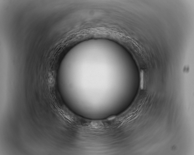 X0000098141491200804171533