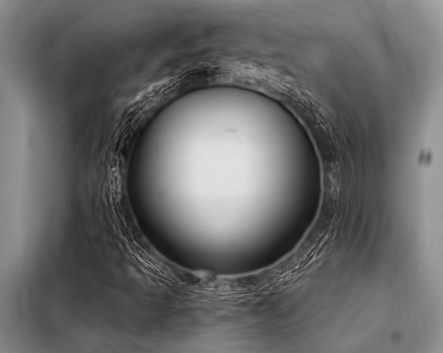 X0000098141493200804171533