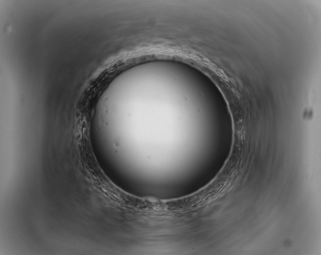 X0000098141495200804171534