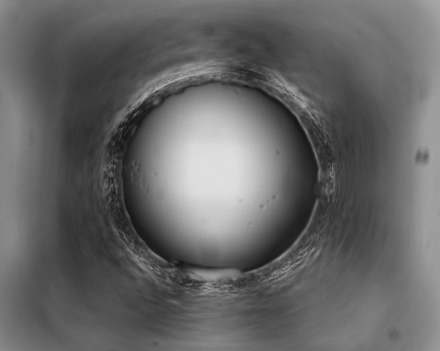 X0000098141496200804171534