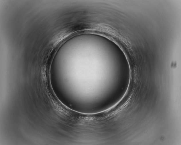 X0000098141497200804171534