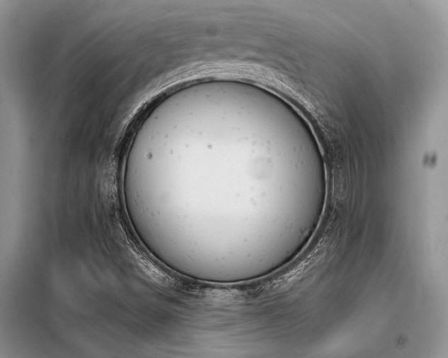 X0000098141498200804171534
