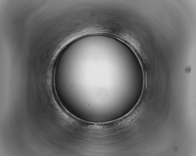 X0000098141500200804171534