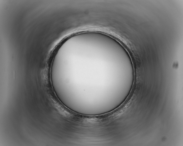 X0000098141502200804171534