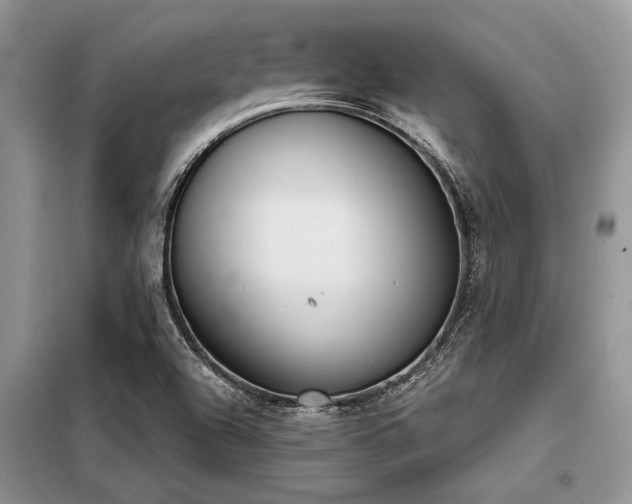 X0000098141504200804171534