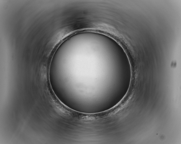 X0000098141505200804171534