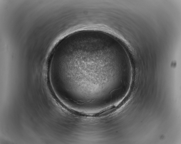 X0000098141506200804171534