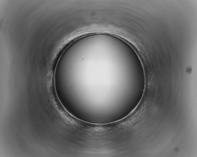 X0000098141507200804171534