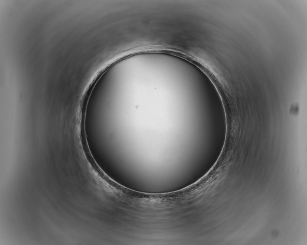 X0000098141508200804171534