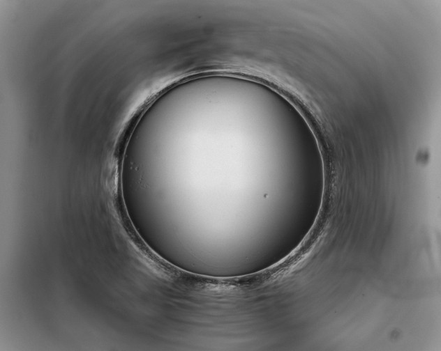 X0000098141509200804171534