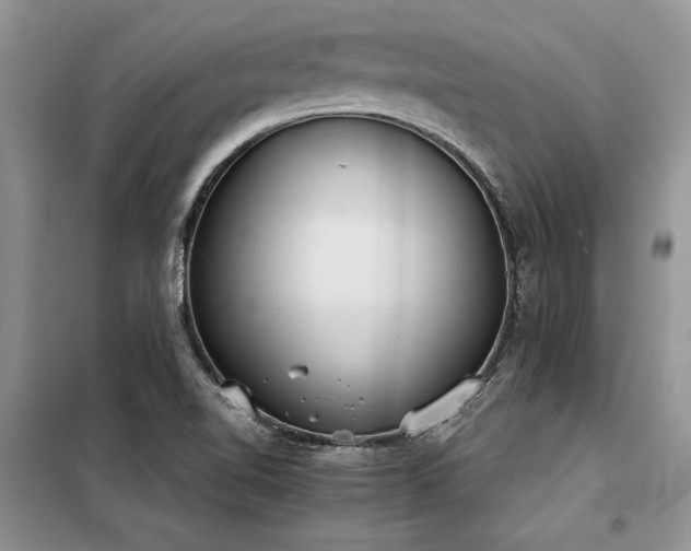 X0000098141510200804171534
