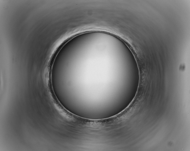 X0000098141511200804171534