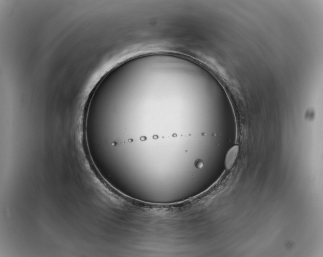 X0000098141512200804171534