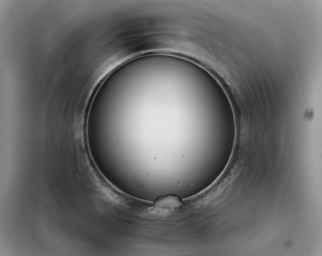 X0000098141513200804171534
