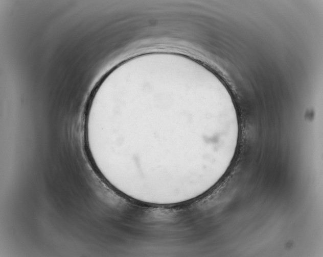 X0000098141514200804171534