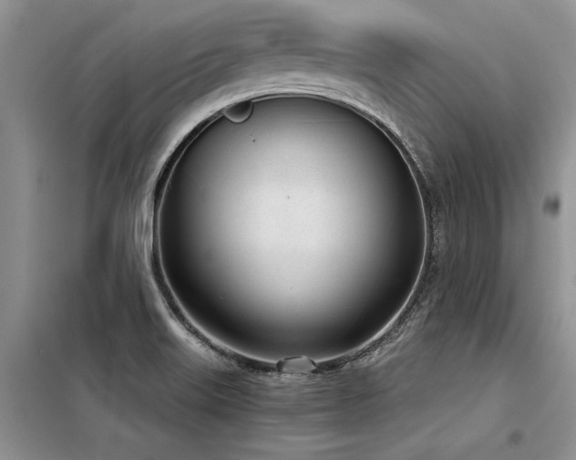 X0000098141515200804171534