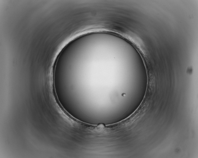 X0000098141516200804171534