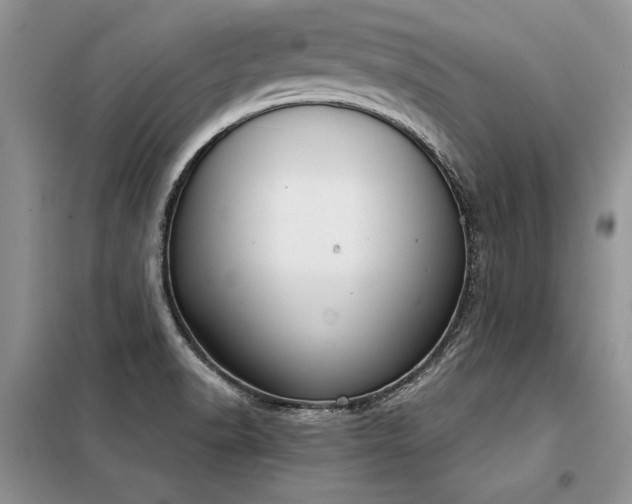 X0000098141518200804171534